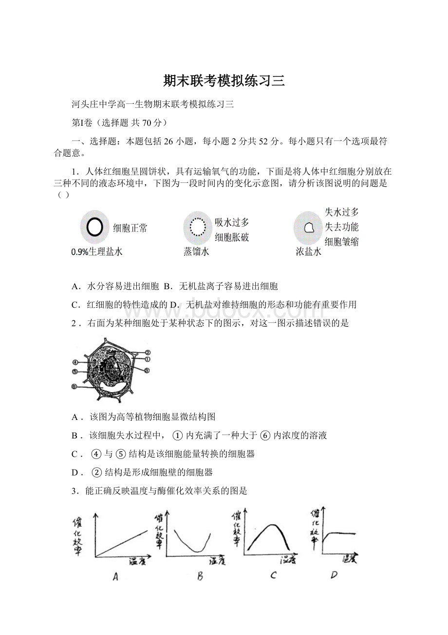 期末联考模拟练习三.docx_第1页