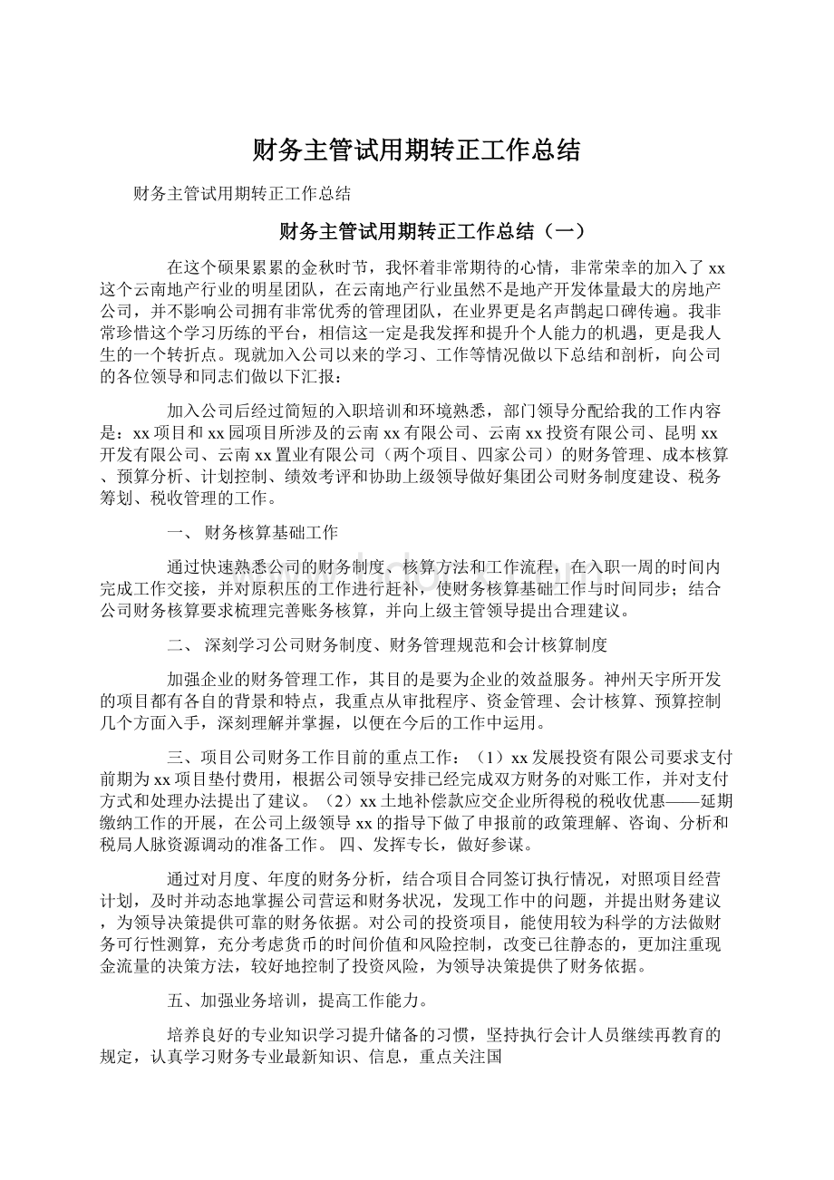 财务主管试用期转正工作总结文档格式.docx_第1页