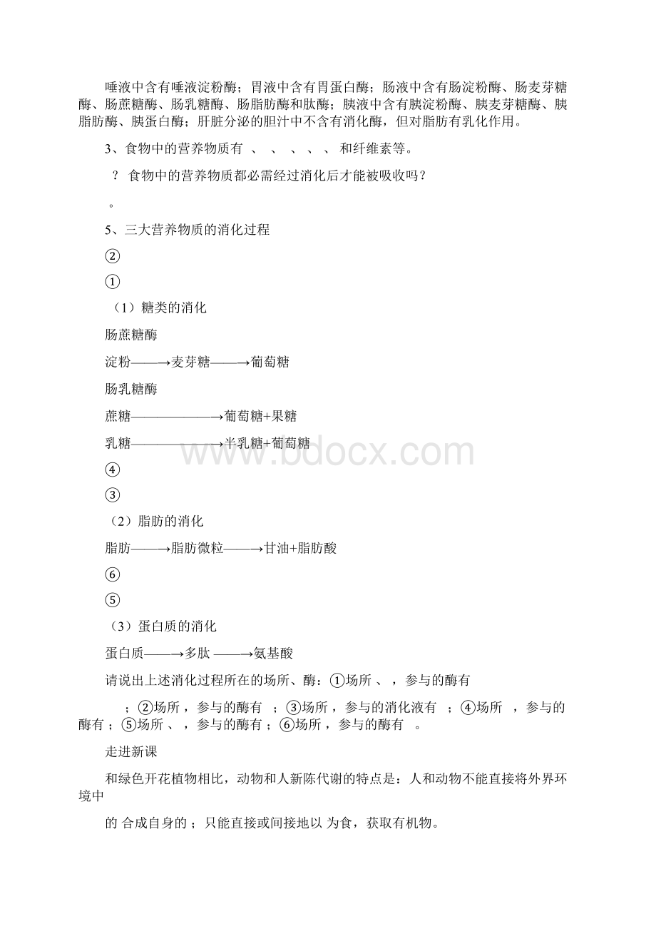 人和动物体内三大营养物质的代谢文档格式.docx_第2页