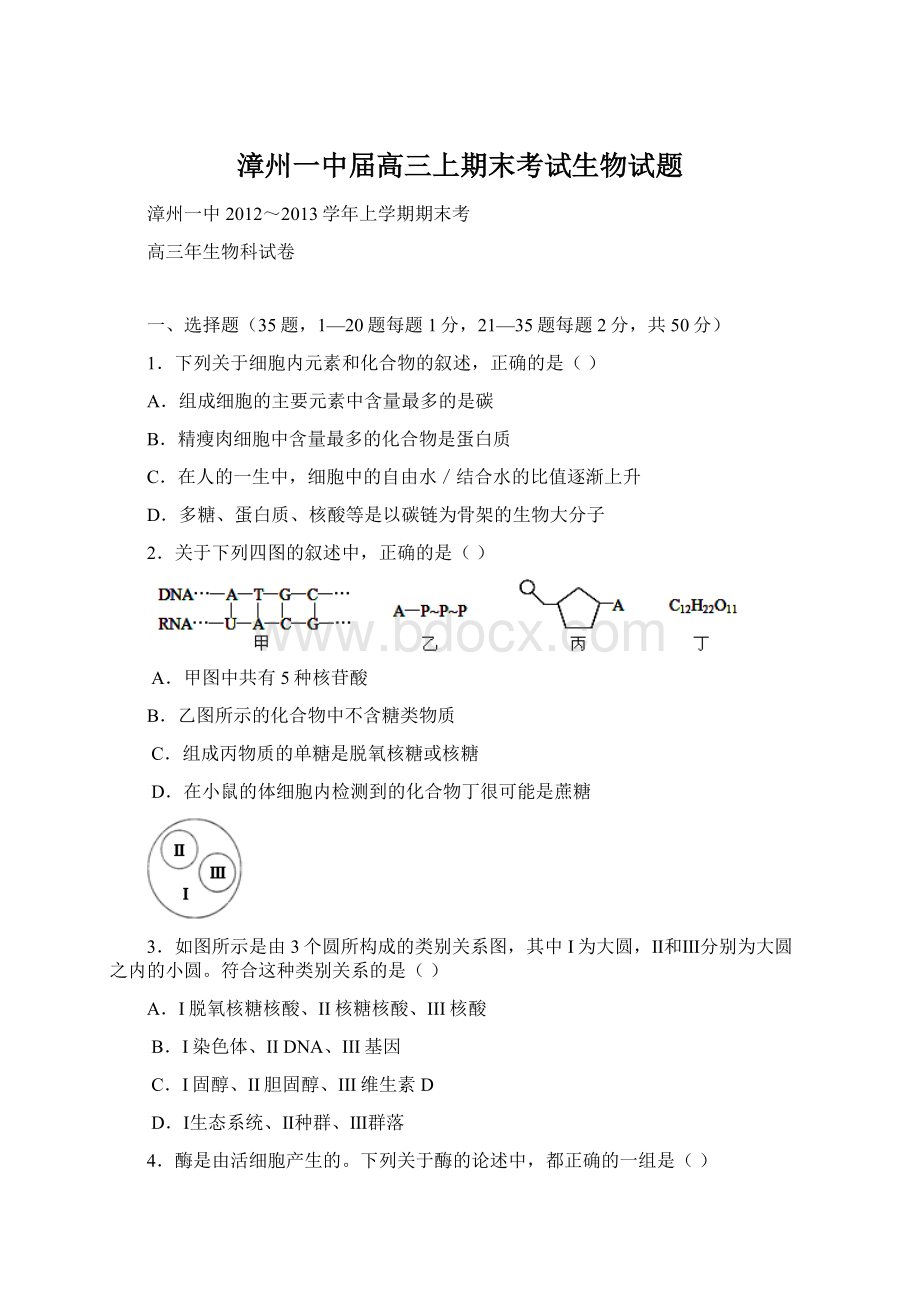 漳州一中届高三上期末考试生物试题Word文档下载推荐.docx_第1页