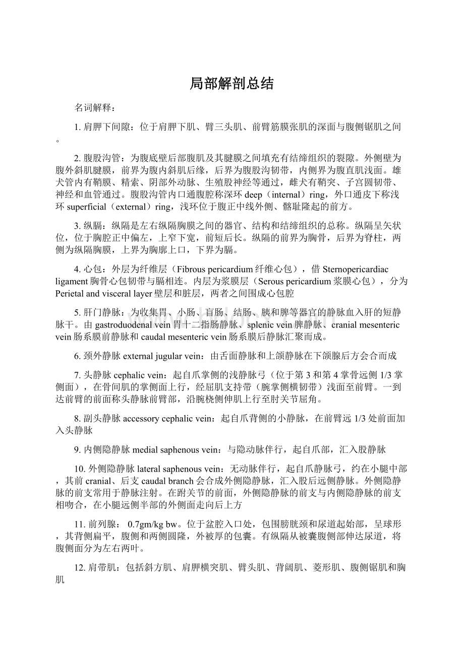 局部解剖总结Word格式文档下载.docx