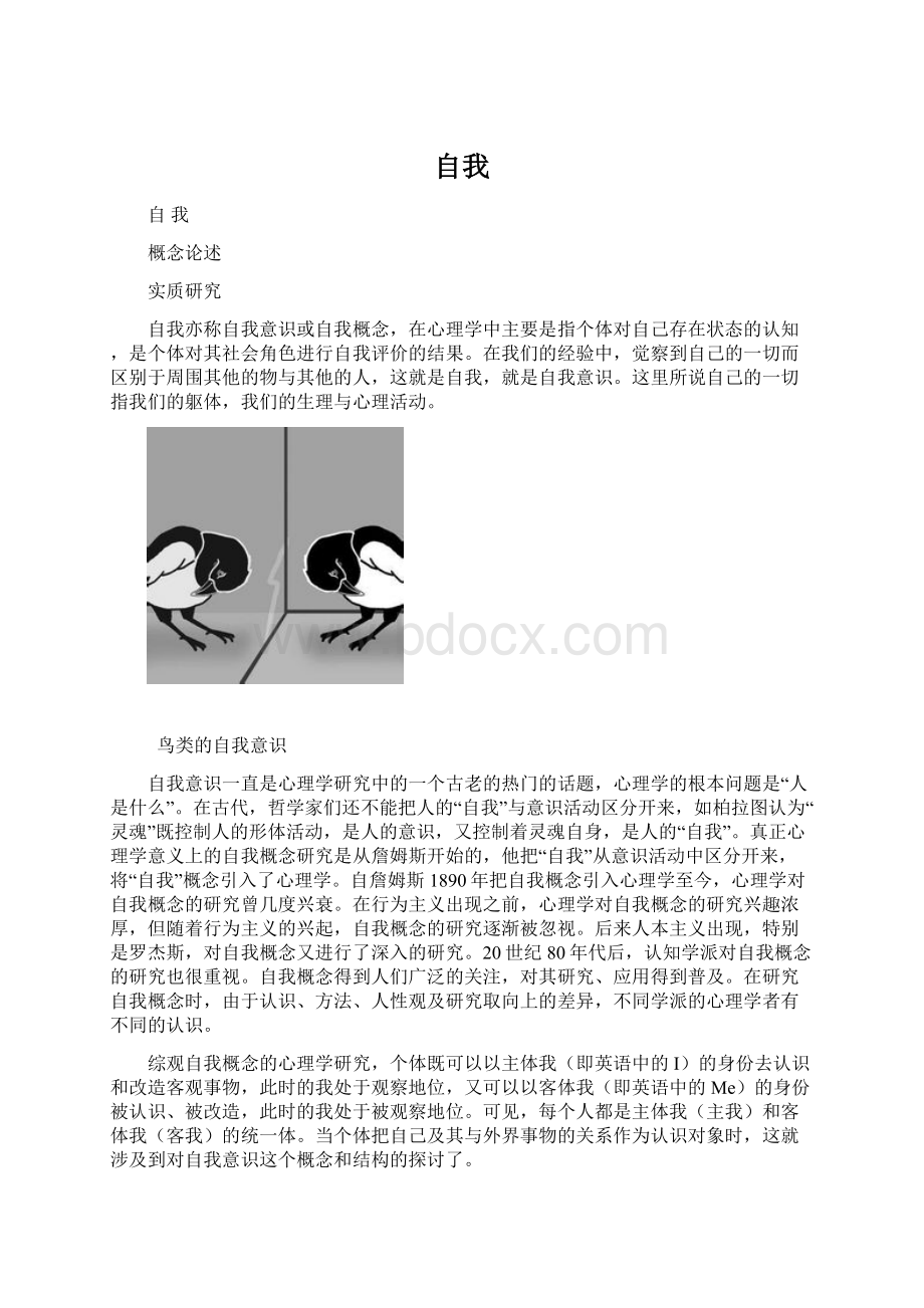 自我.docx_第1页