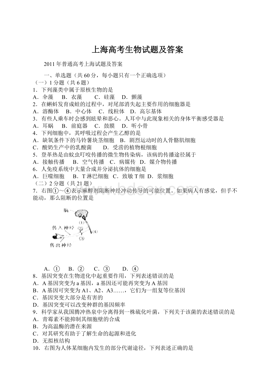 上海高考生物试题及答案Word文档下载推荐.docx_第1页