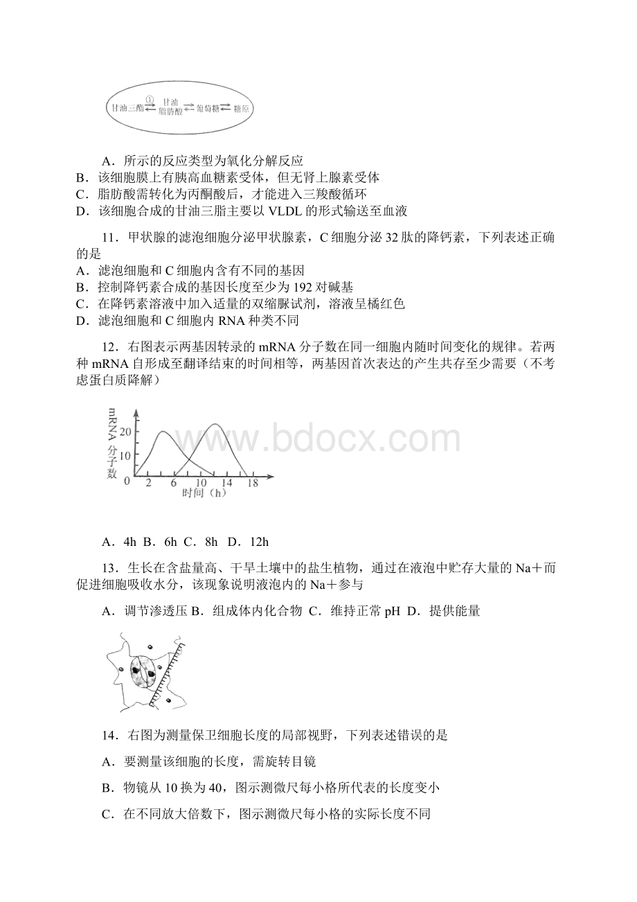 上海高考生物试题及答案Word文档下载推荐.docx_第2页