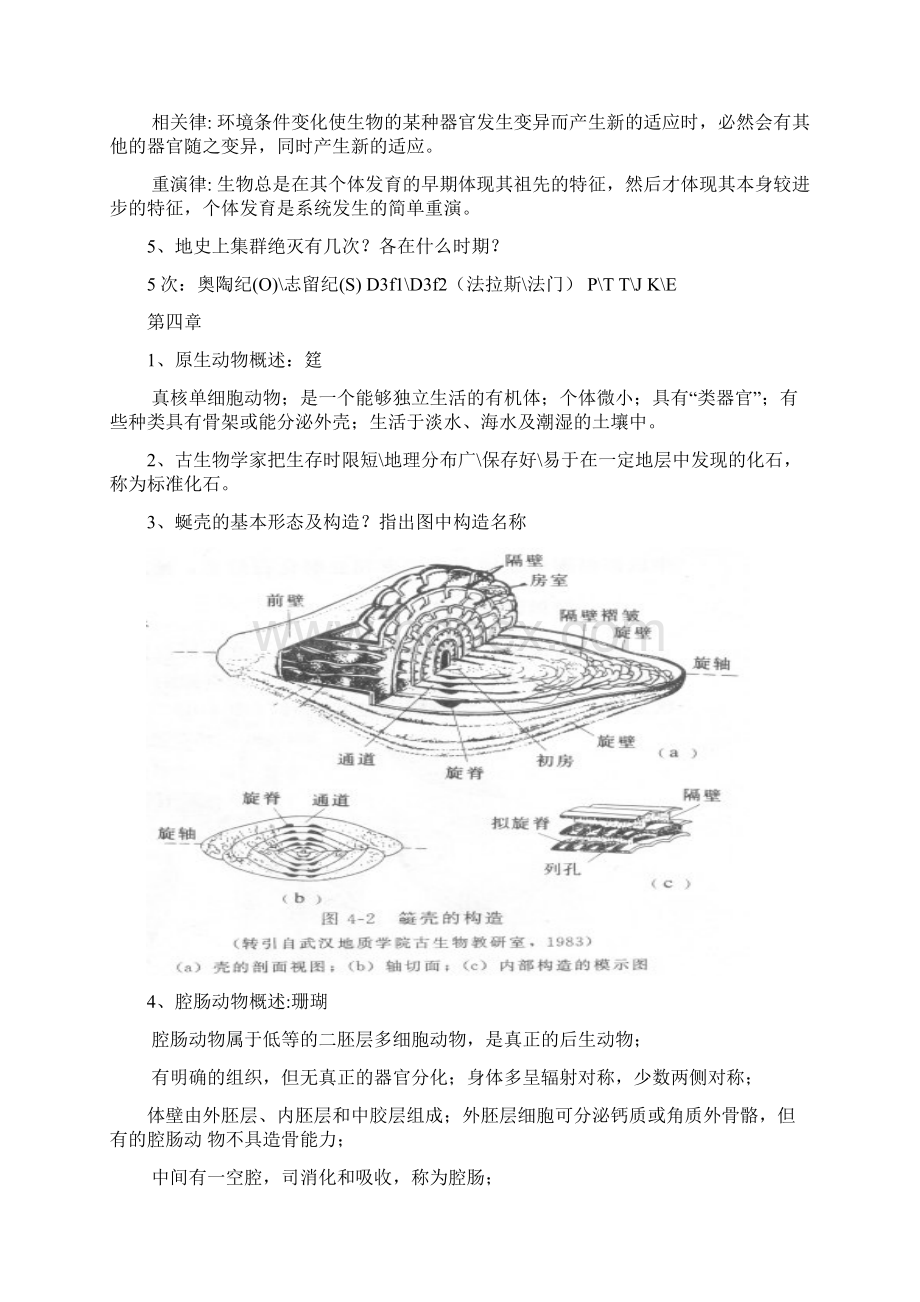 古生物地史学复习题Word文档格式.docx_第3页