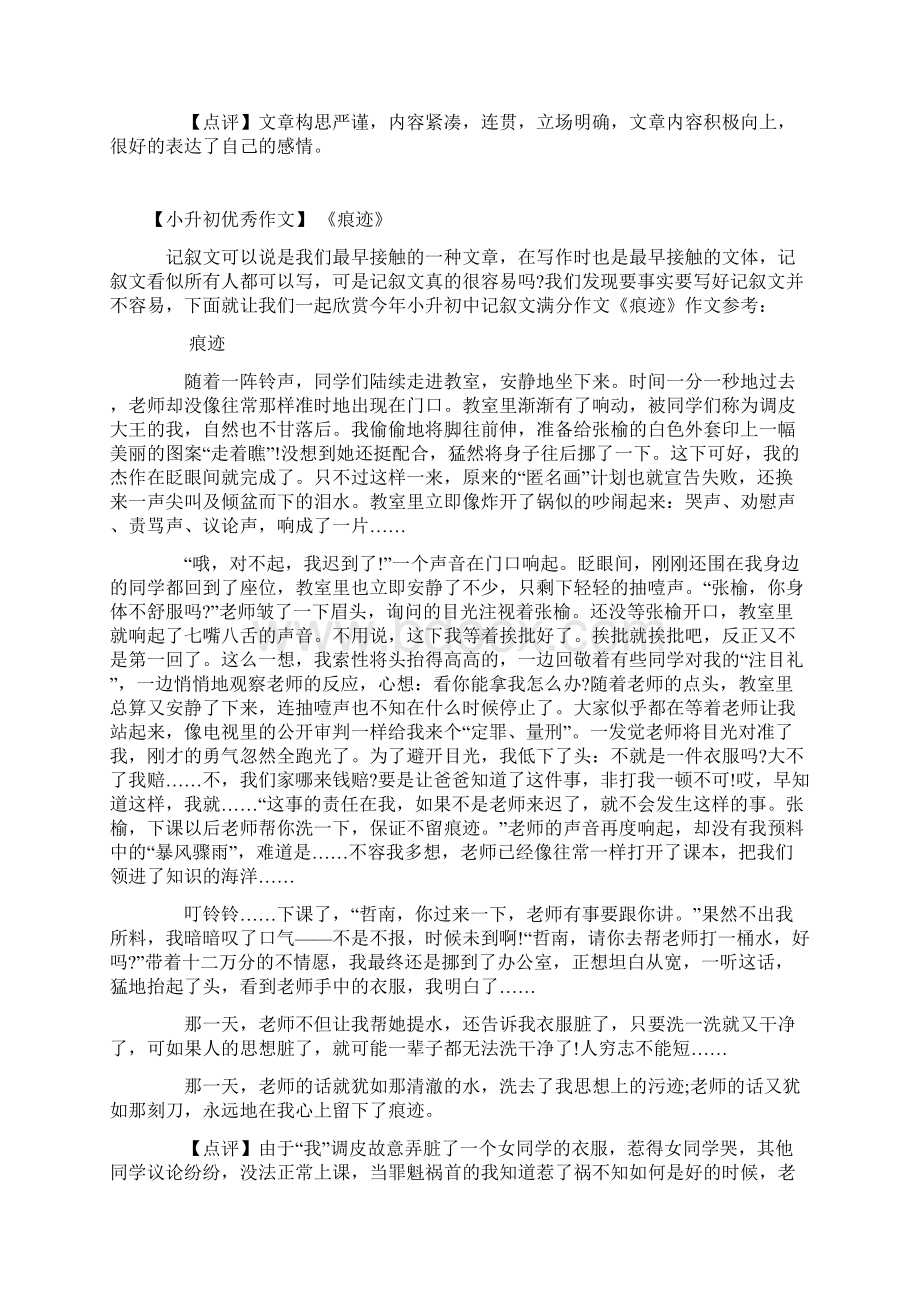 最新小升初满分作文精选10篇Word文档格式.docx_第2页