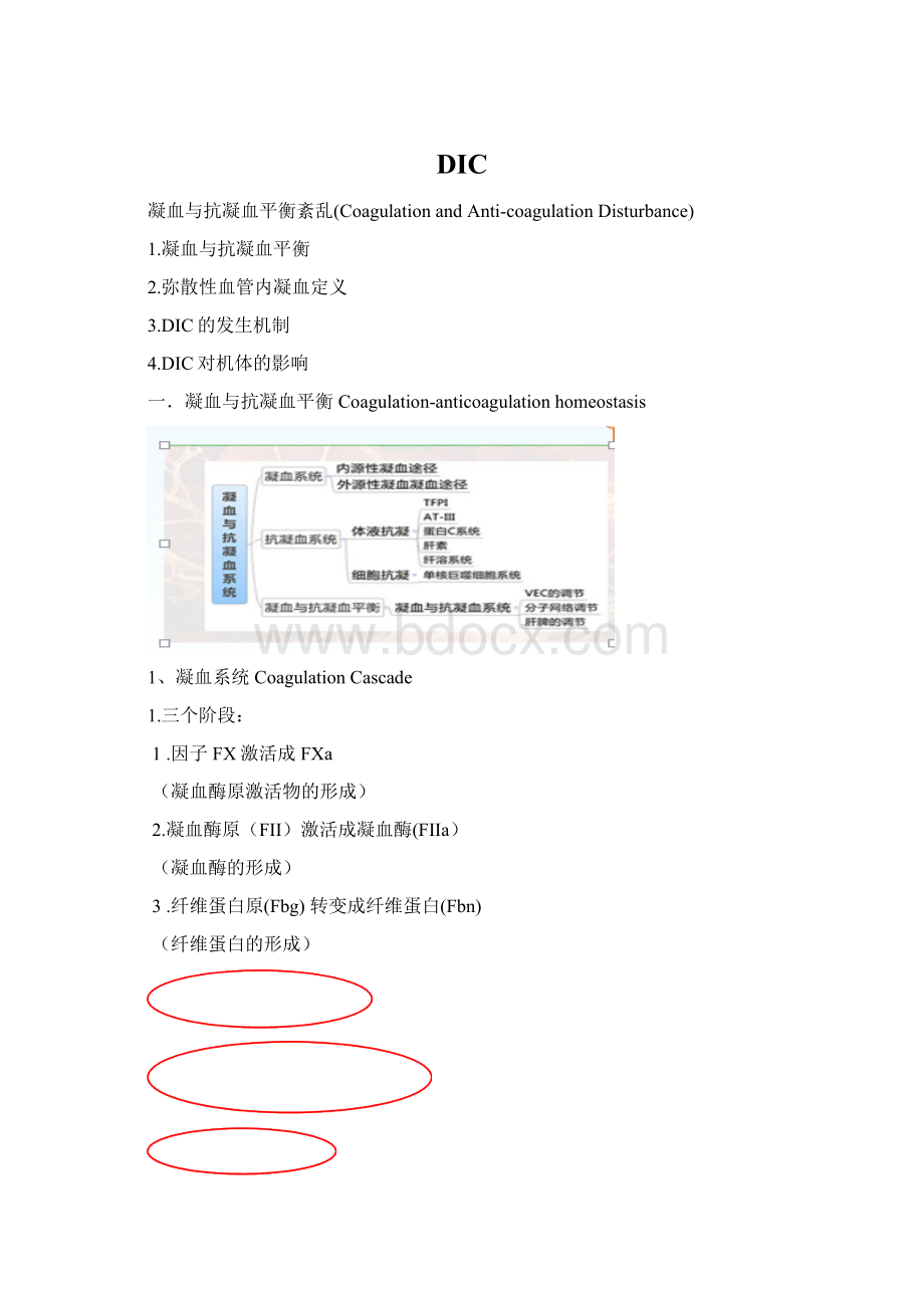 DICWord文档下载推荐.docx_第1页