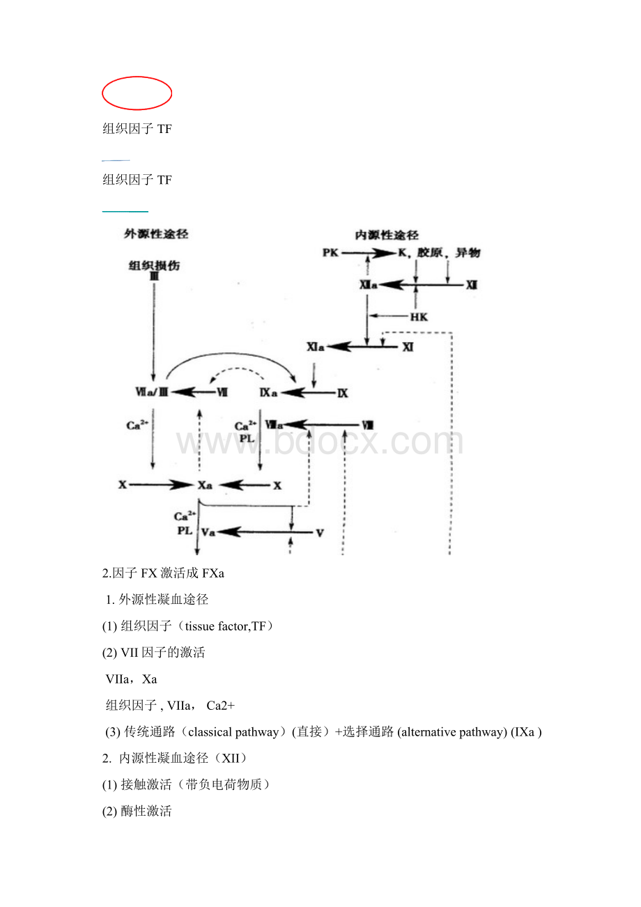 DICWord文档下载推荐.docx_第2页