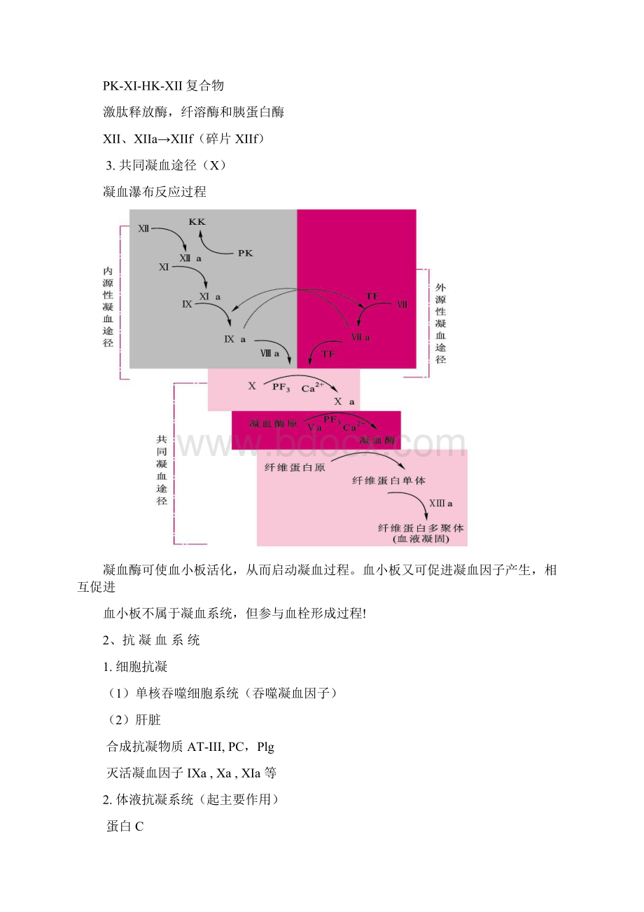 DICWord文档下载推荐.docx_第3页