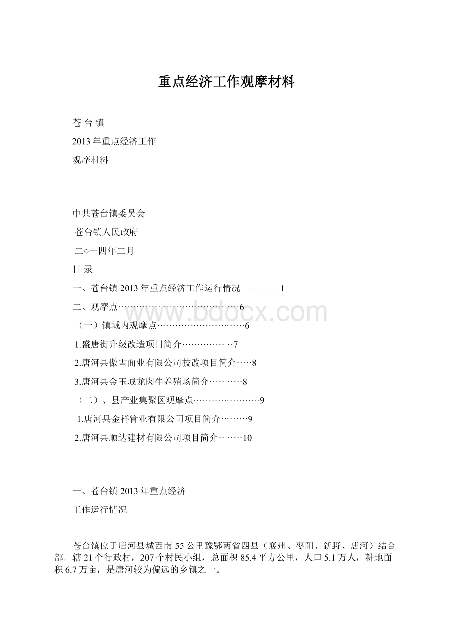 重点经济工作观摩材料.docx_第1页