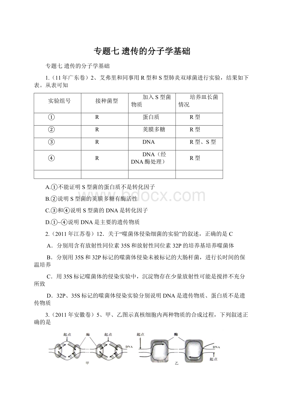 专题七遗传的分子学基础.docx_第1页