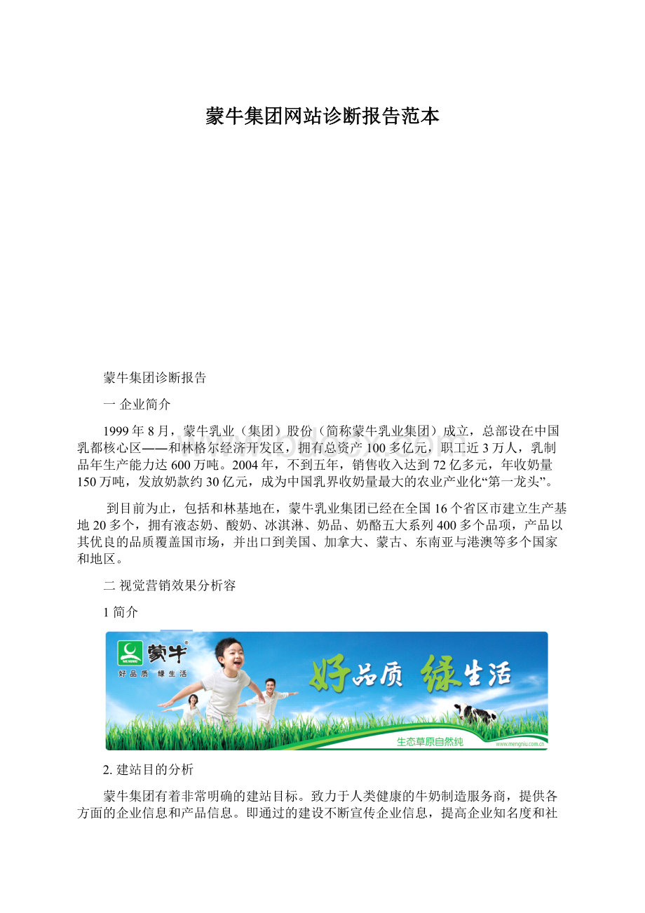 蒙牛集团网站诊断报告范本文档格式.docx