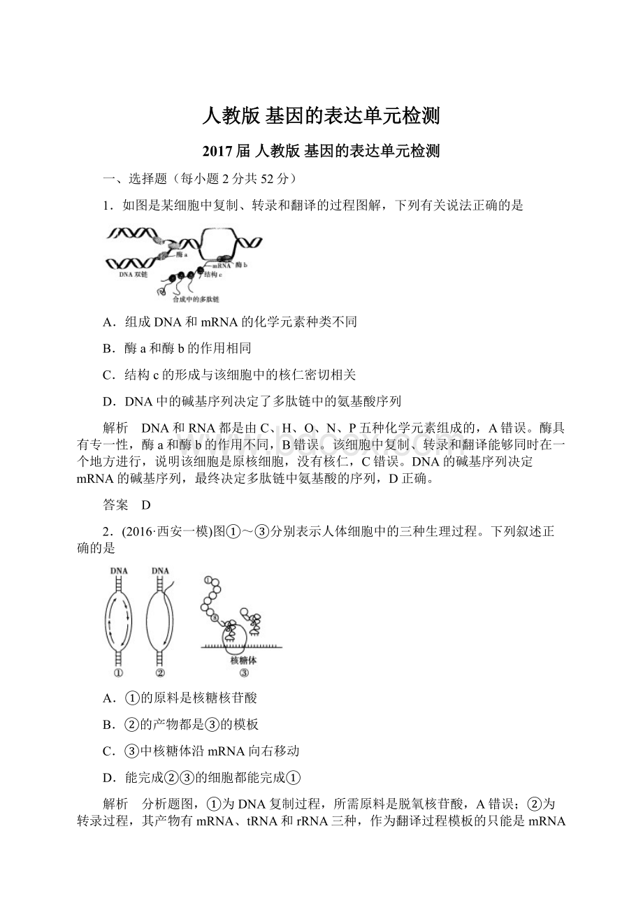 人教版基因的表达单元检测.docx_第1页