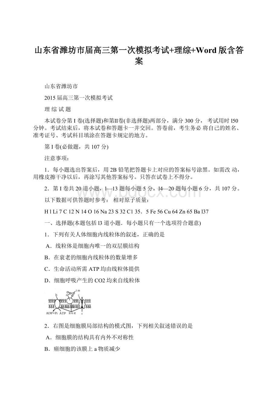 山东省潍坊市届高三第一次模拟考试+理综+Word版含答案Word文档下载推荐.docx_第1页