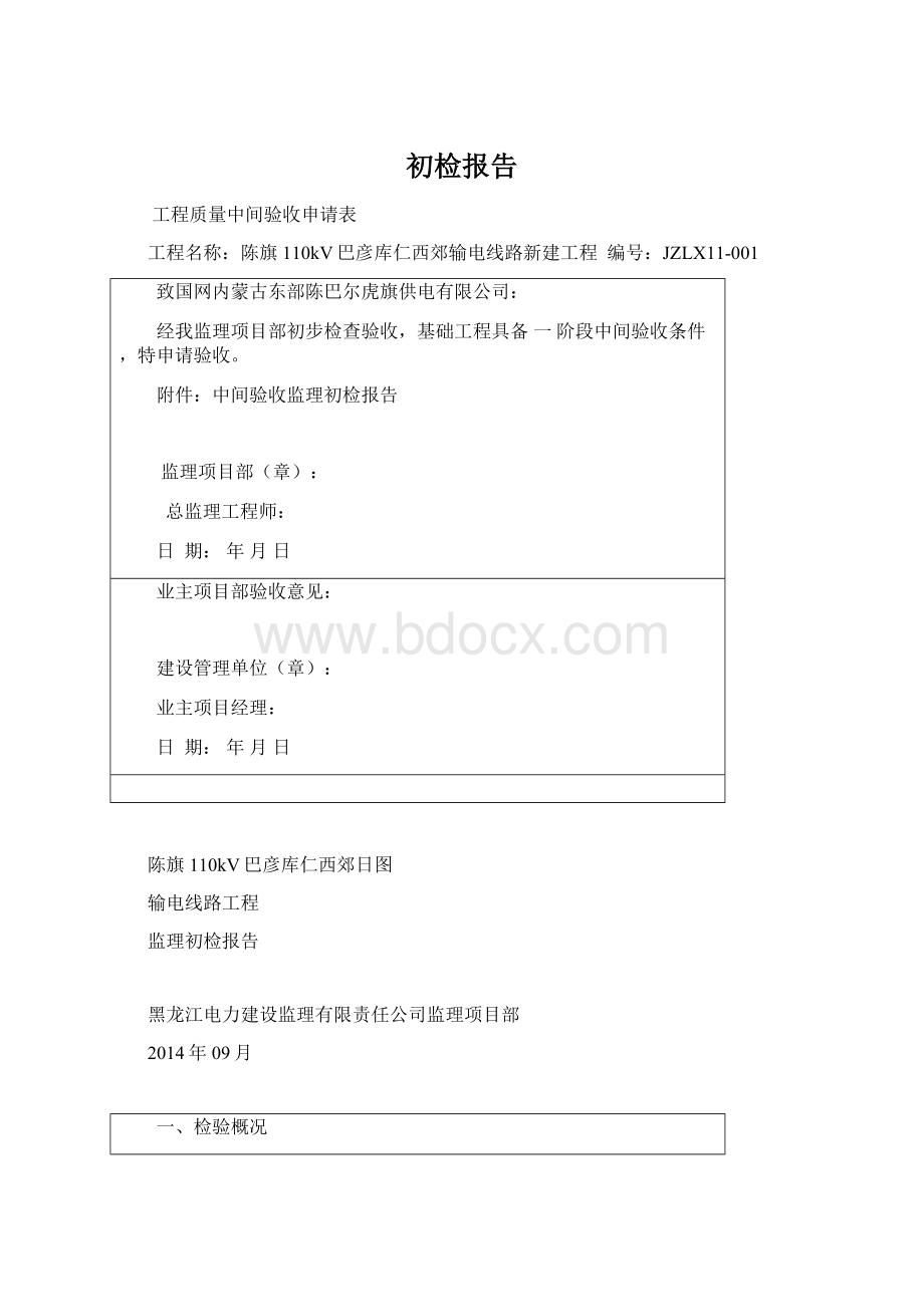 初检报告.docx_第1页