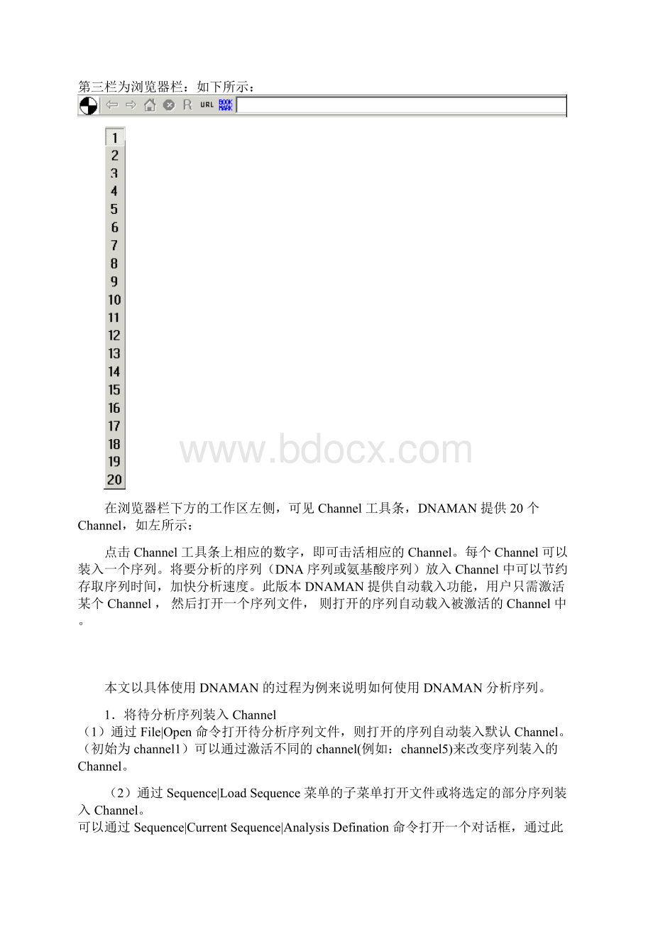 序列分析报告软件DNAManWord文档下载推荐.docx_第2页