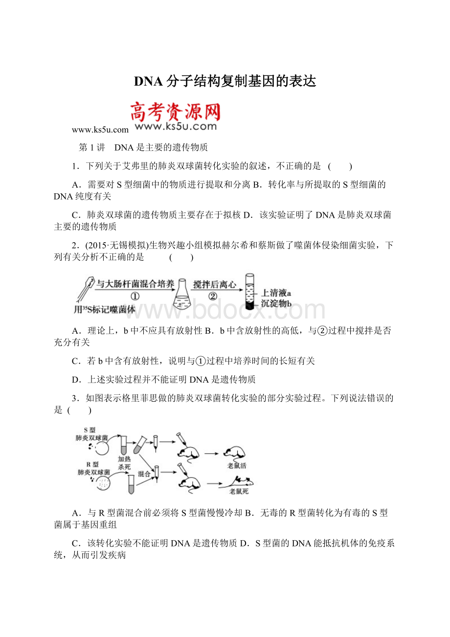 DNA分子结构复制基因的表达文档格式.docx