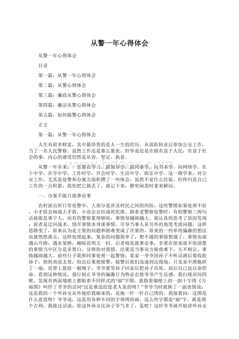 从警一年心得体会文档格式.docx