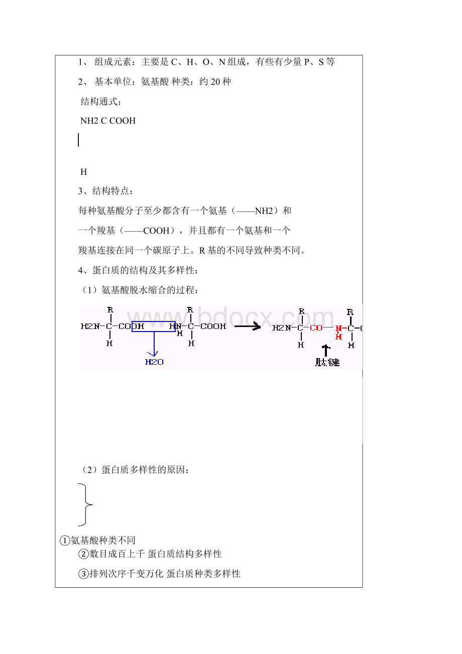 高中生物《生命活动的主要承担者蛋白质》教案17 新人教版必修1.docx_第2页