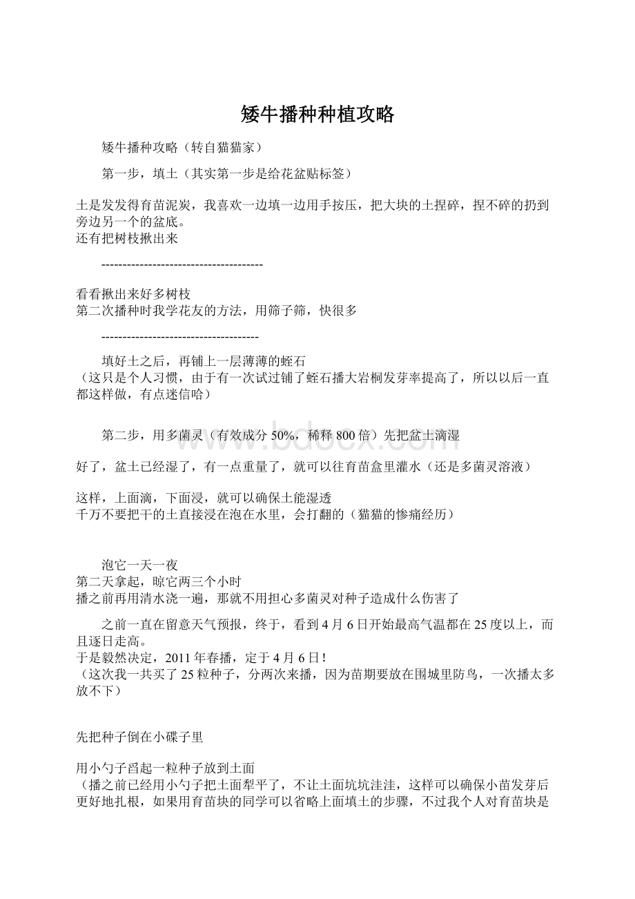 矮牛播种种植攻略Word格式.docx_第1页