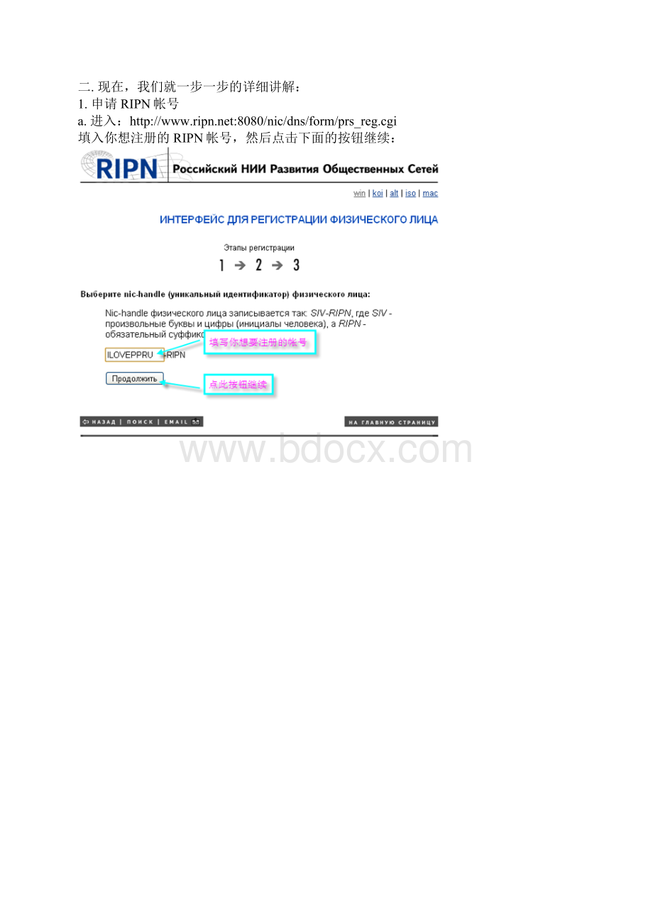 RU域名申请全套教程Word文件下载.docx_第2页