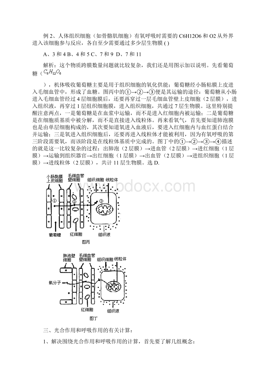 高中生物常见计算题总结.docx_第3页