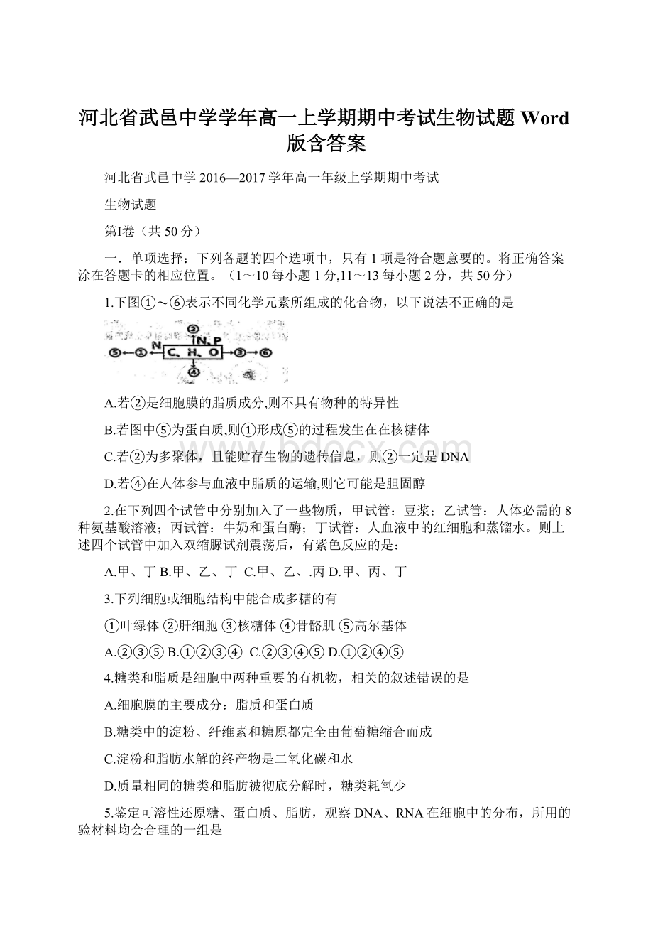 河北省武邑中学学年高一上学期期中考试生物试题 Word版含答案.docx