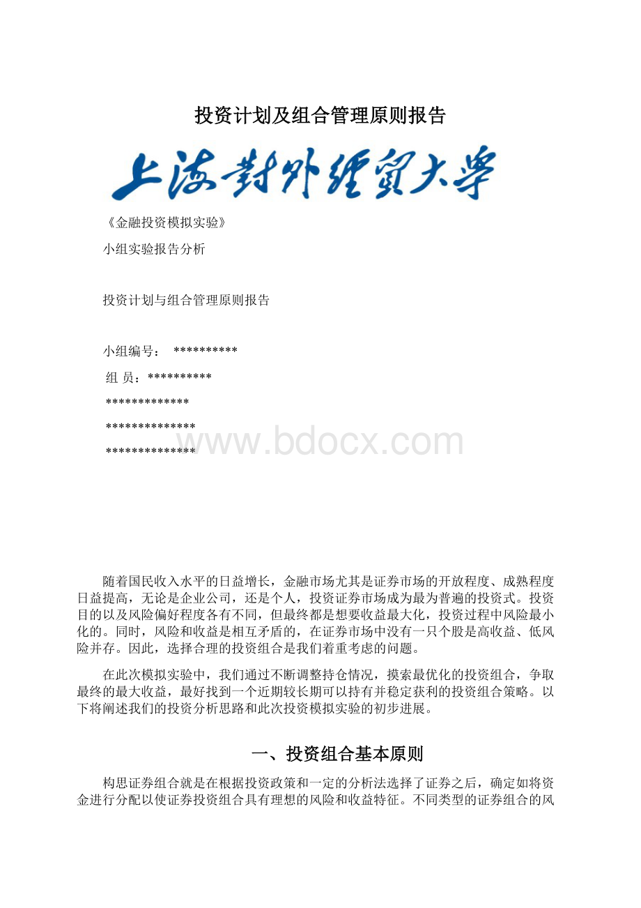 投资计划及组合管理原则报告.docx