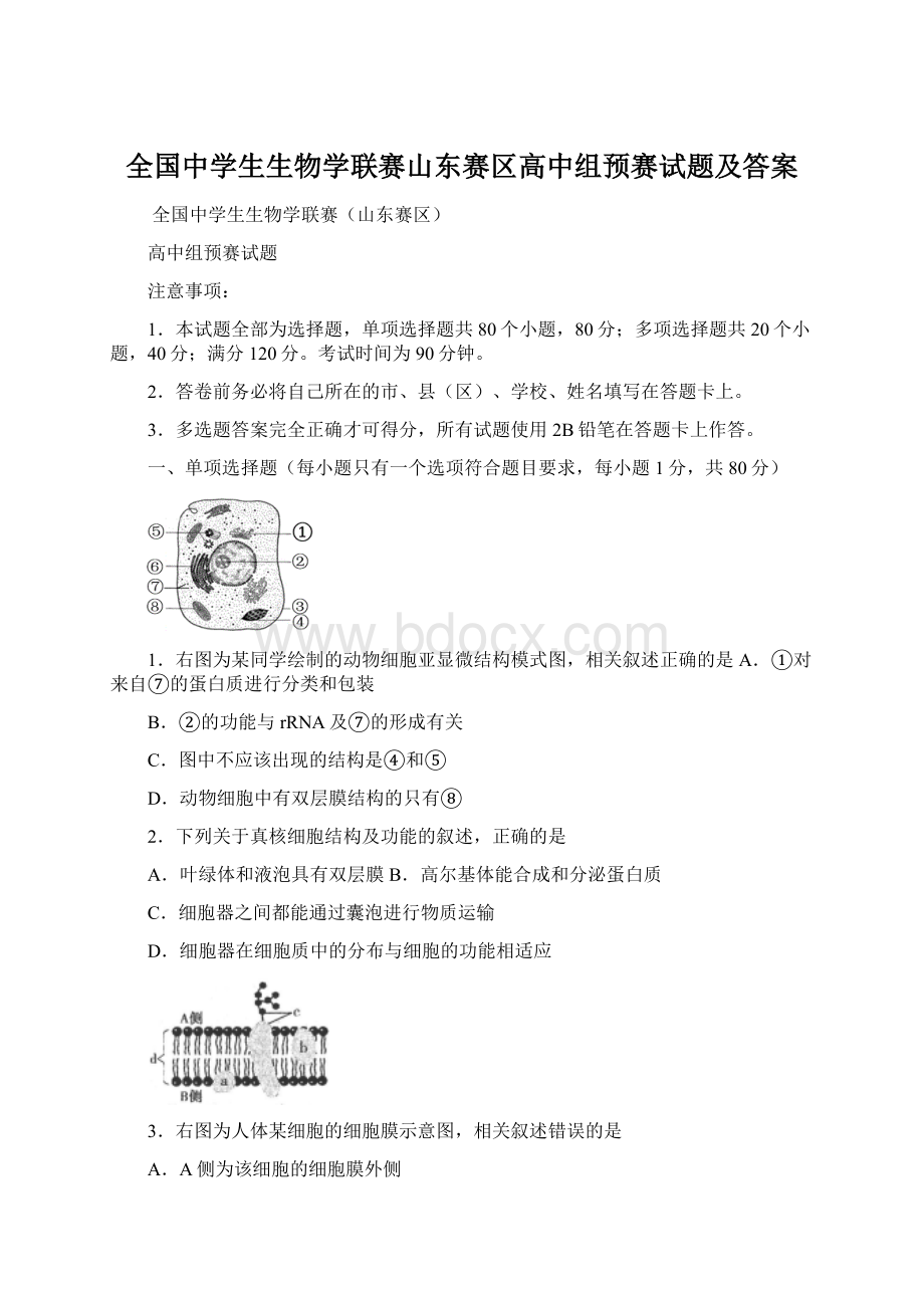 全国中学生生物学联赛山东赛区高中组预赛试题及答案.docx