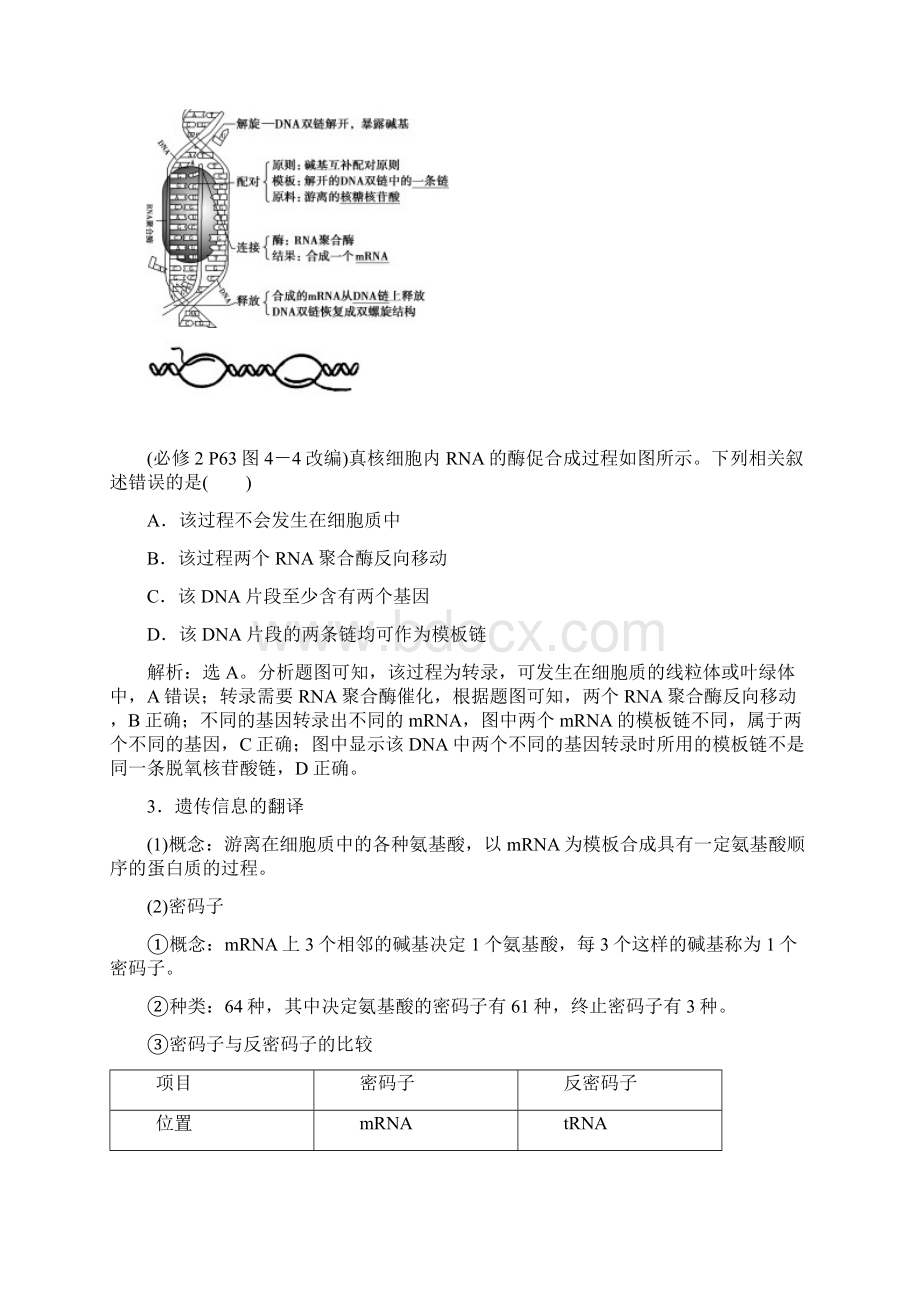 高考生物一轮复习 第六单元 遗传的物质基础 第21讲 基因的表达学案.docx_第2页