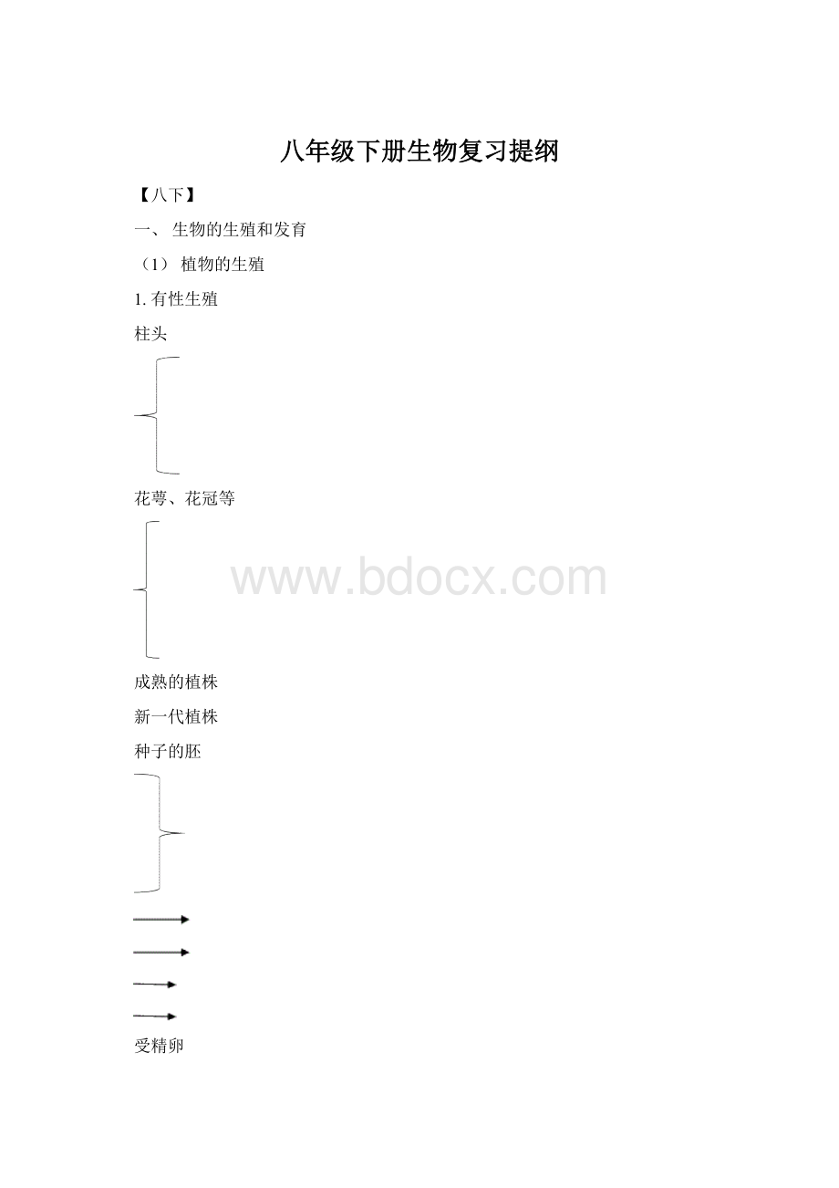 八年级下册生物复习提纲Word文档格式.docx_第1页