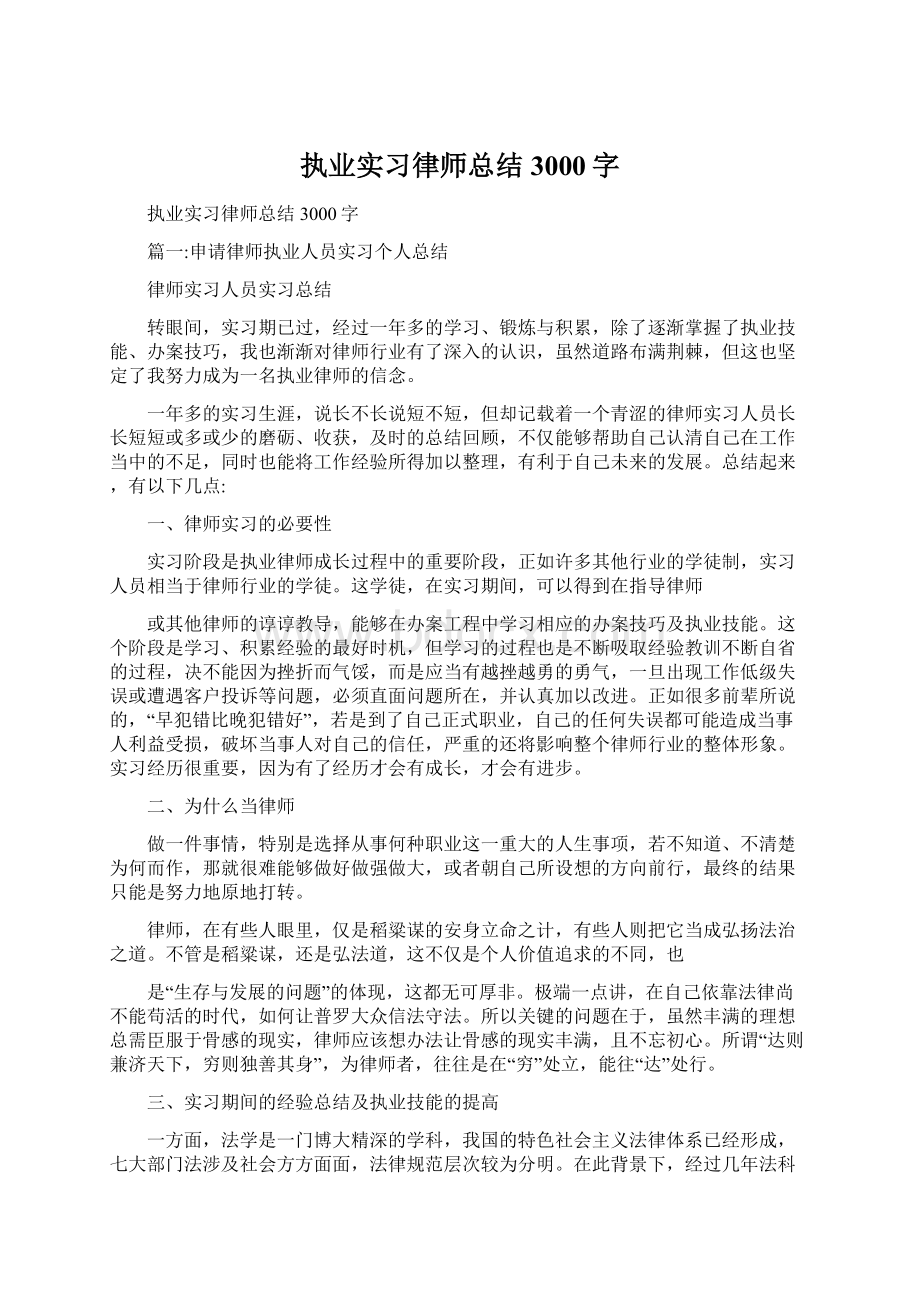 执业实习律师总结3000字文档格式.docx