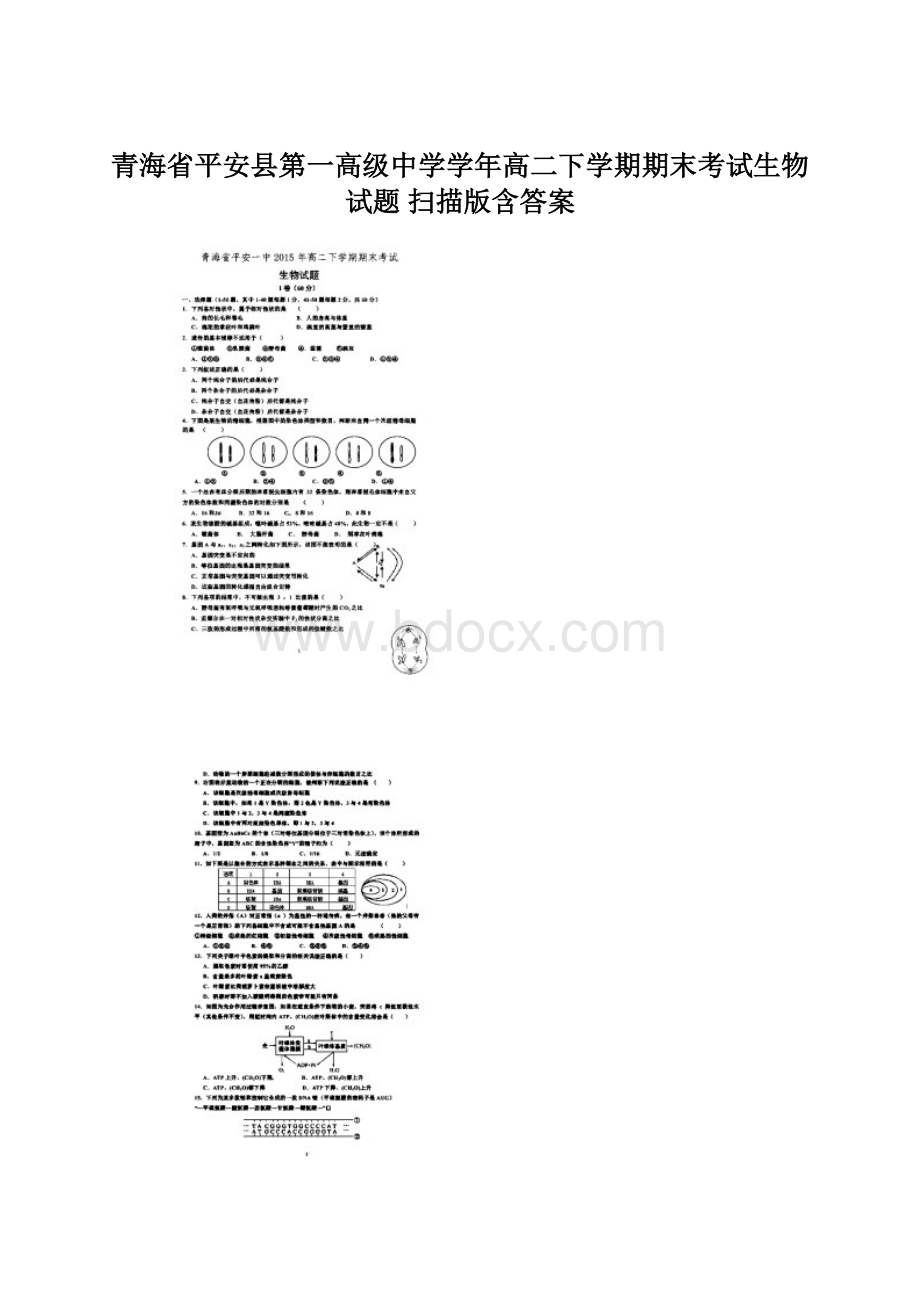 青海省平安县第一高级中学学年高二下学期期末考试生物试题 扫描版含答案.docx_第1页