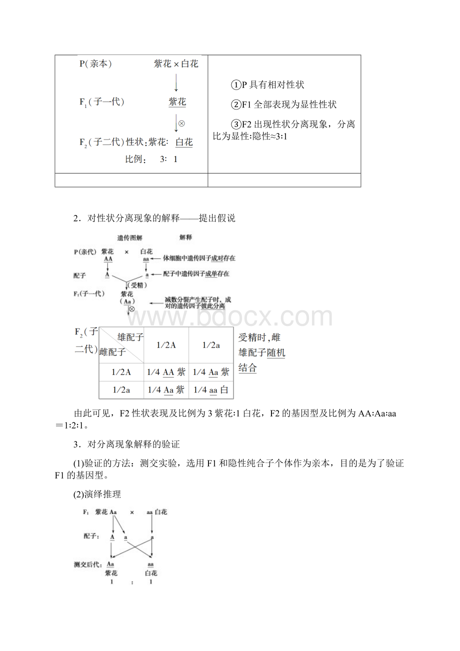 版高考生物一轮复习第5单元遗传和染色体第1讲基因的分离定律学案苏教版Word文档格式.docx_第2页