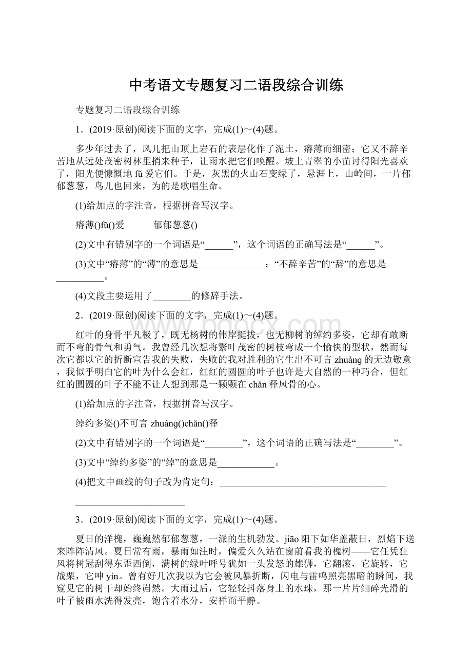 中考语文专题复习二语段综合训练.docx