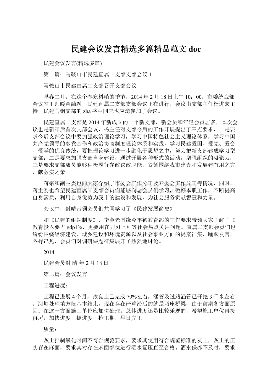 民建会议发言精选多篇精品范文doc.docx_第1页