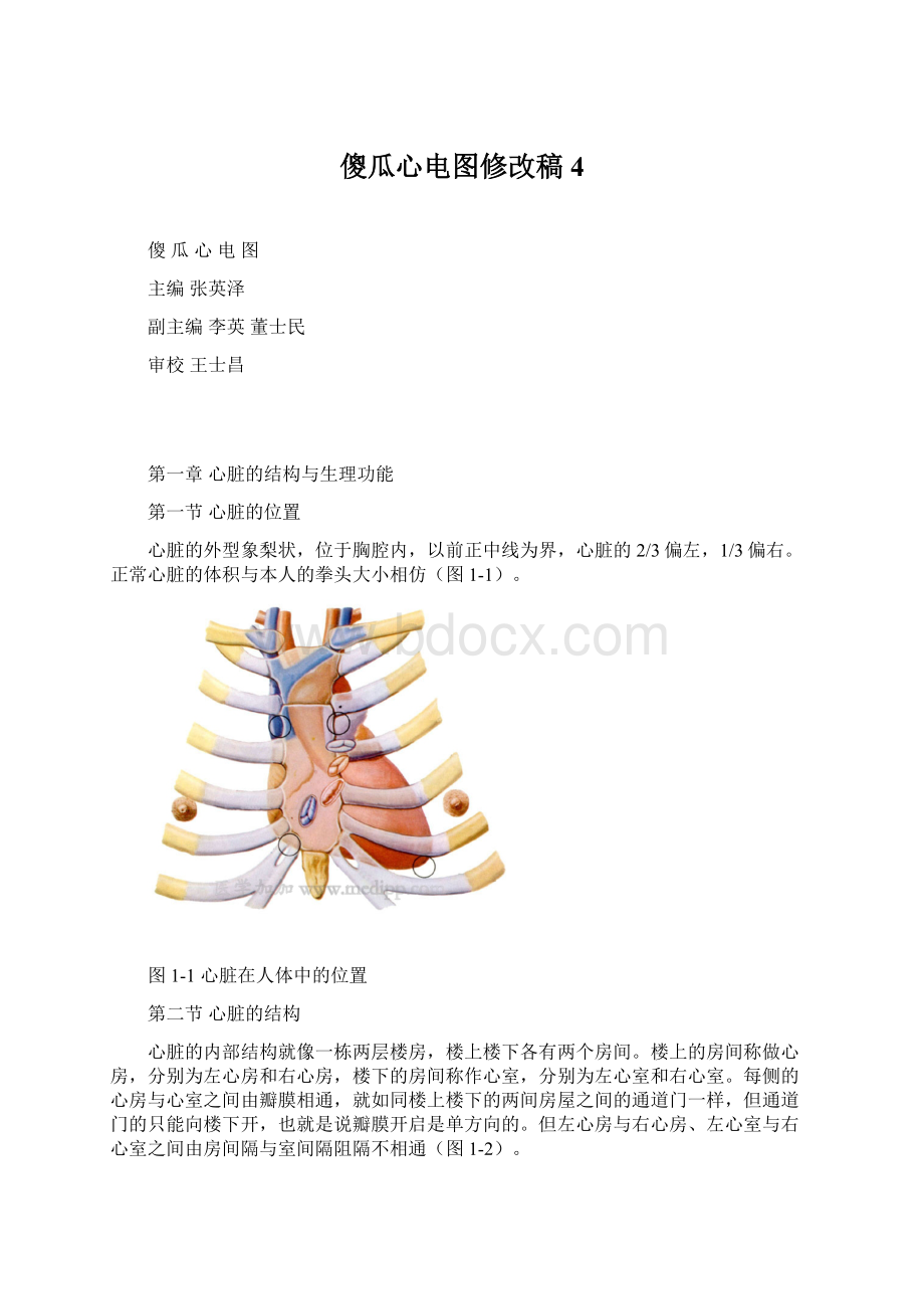 傻瓜心电图修改稿4.docx