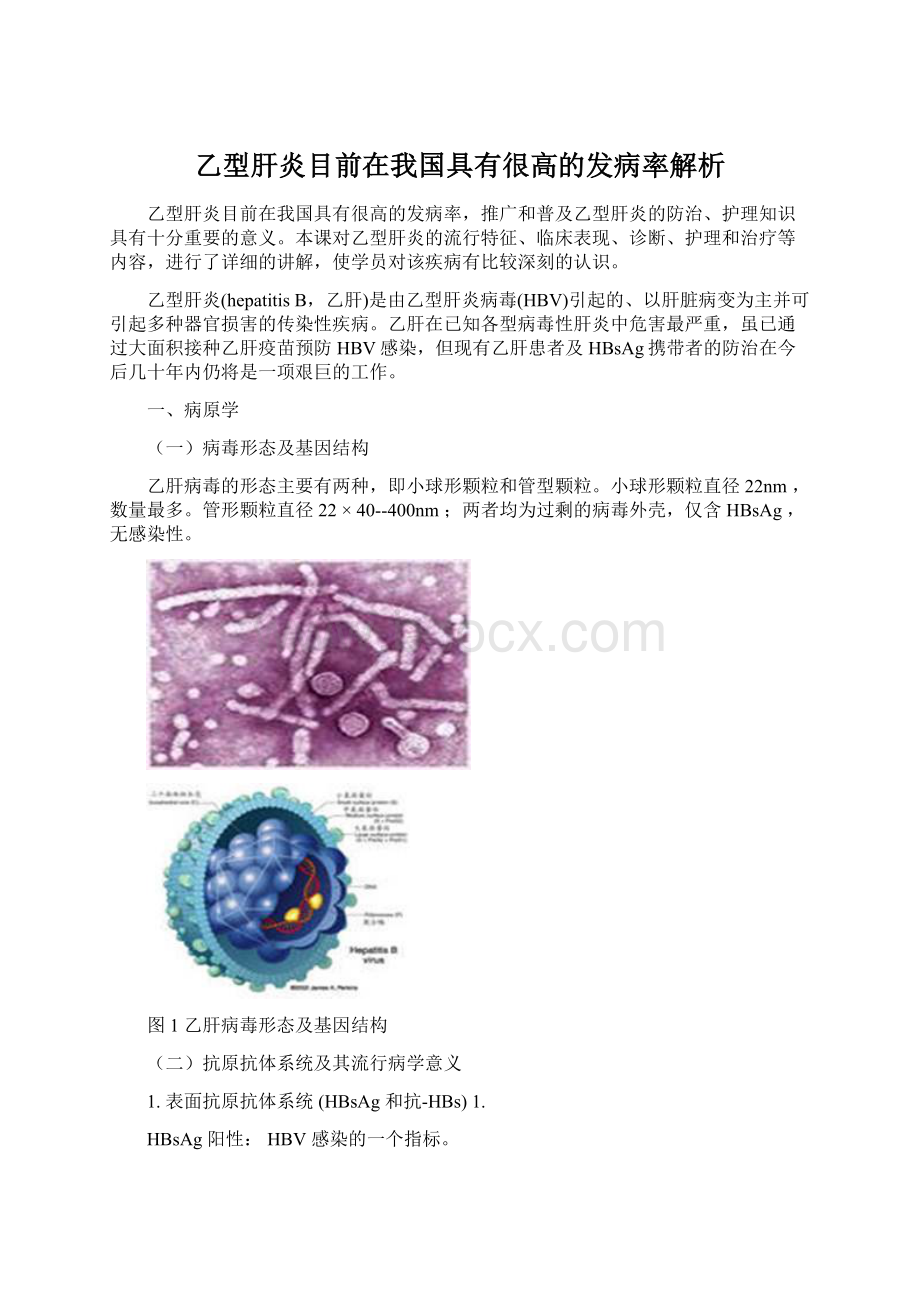 乙型肝炎目前在我国具有很高的发病率解析Word格式文档下载.docx