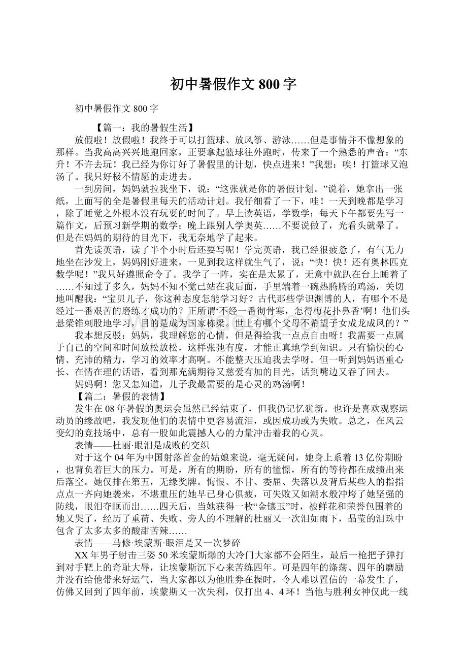 初中暑假作文800字Word格式文档下载.docx_第1页