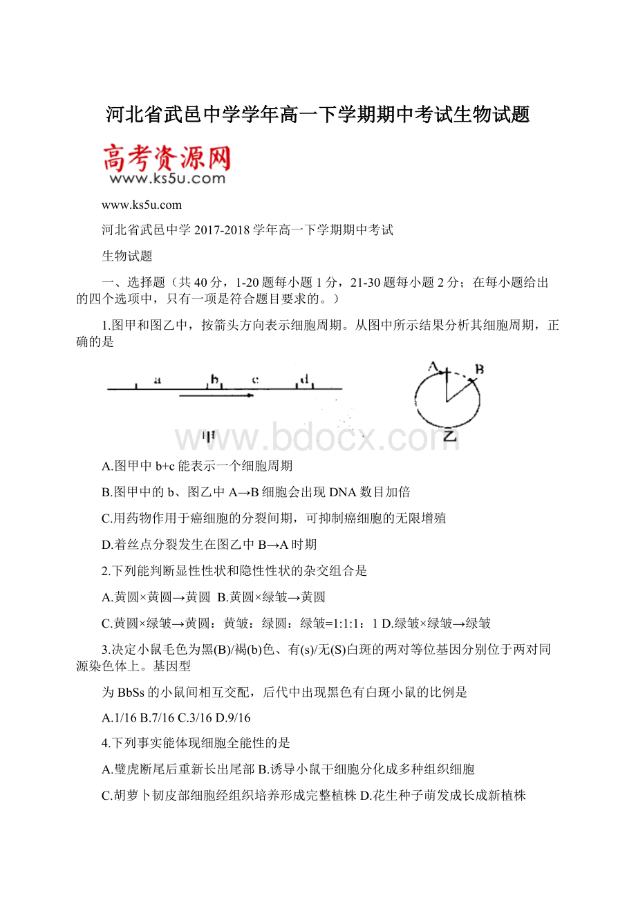 河北省武邑中学学年高一下学期期中考试生物试题Word下载.docx