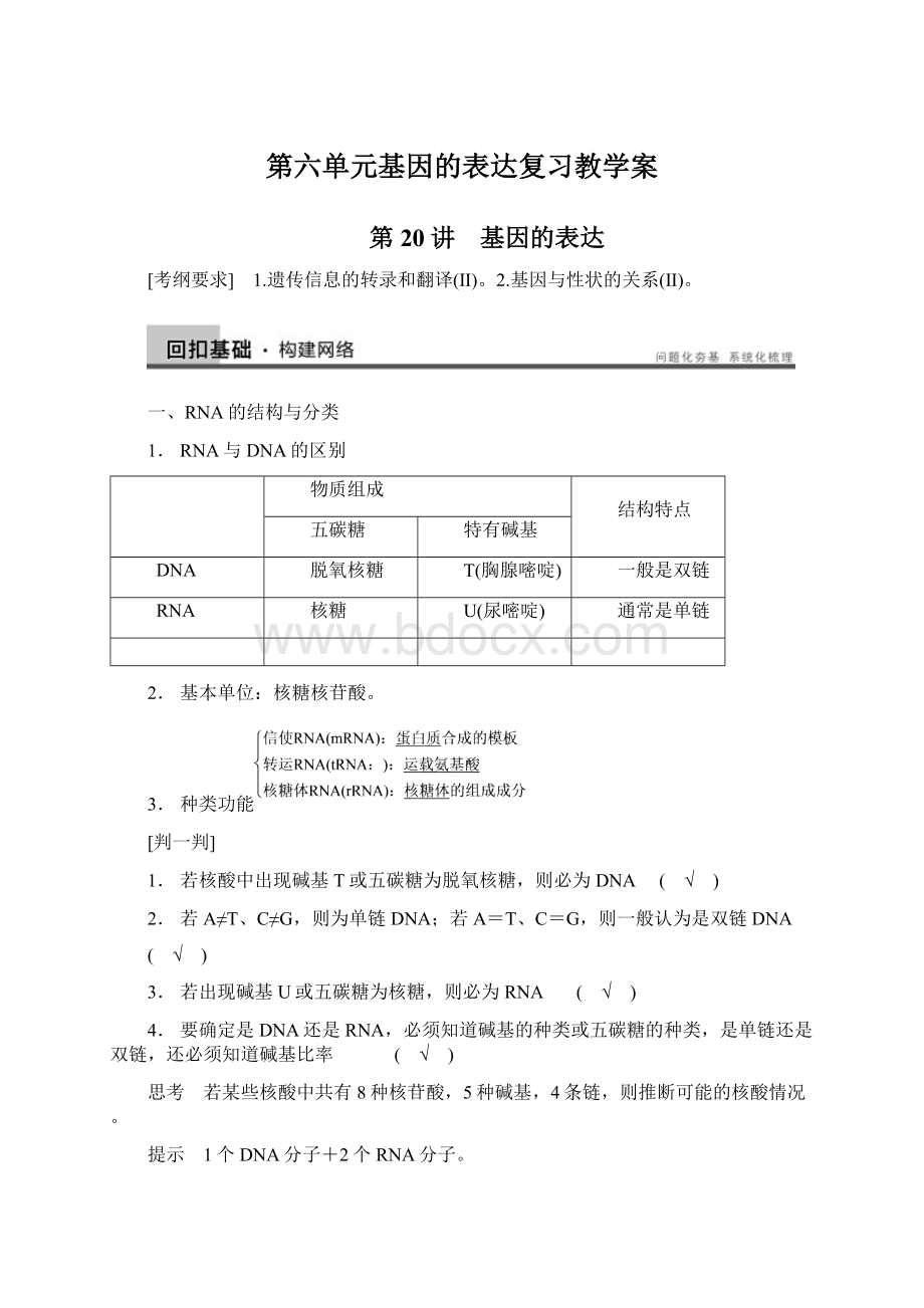 第六单元基因的表达复习教学案.docx_第1页