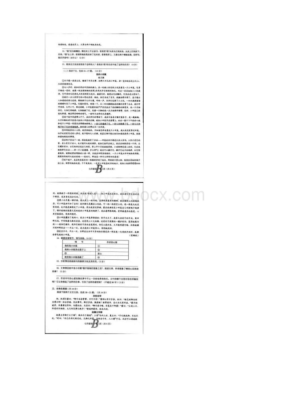 河南省宝丰县学年七年级语文下册期中测试题.docx_第3页