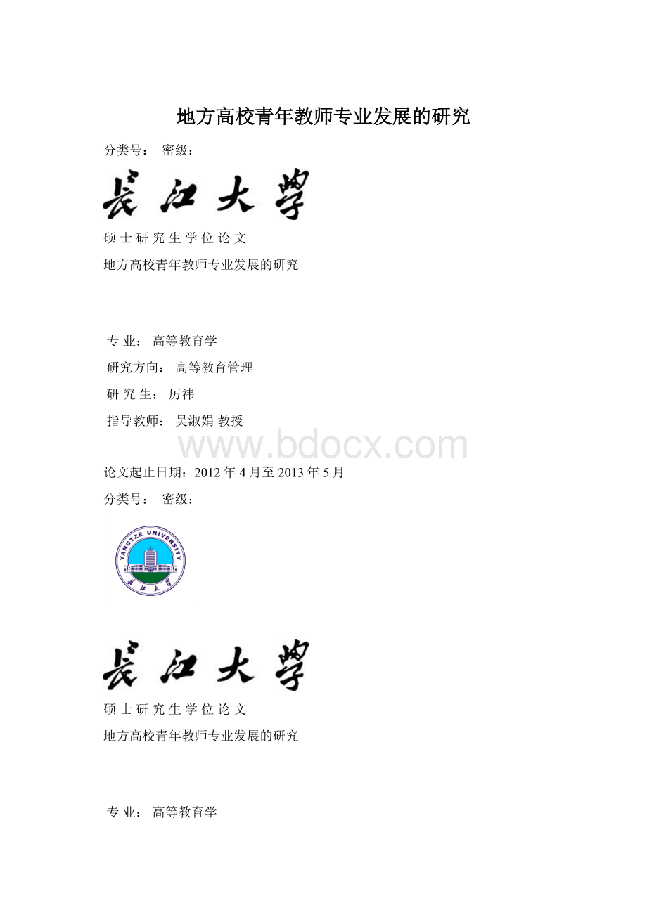 地方高校青年教师专业发展的研究.docx