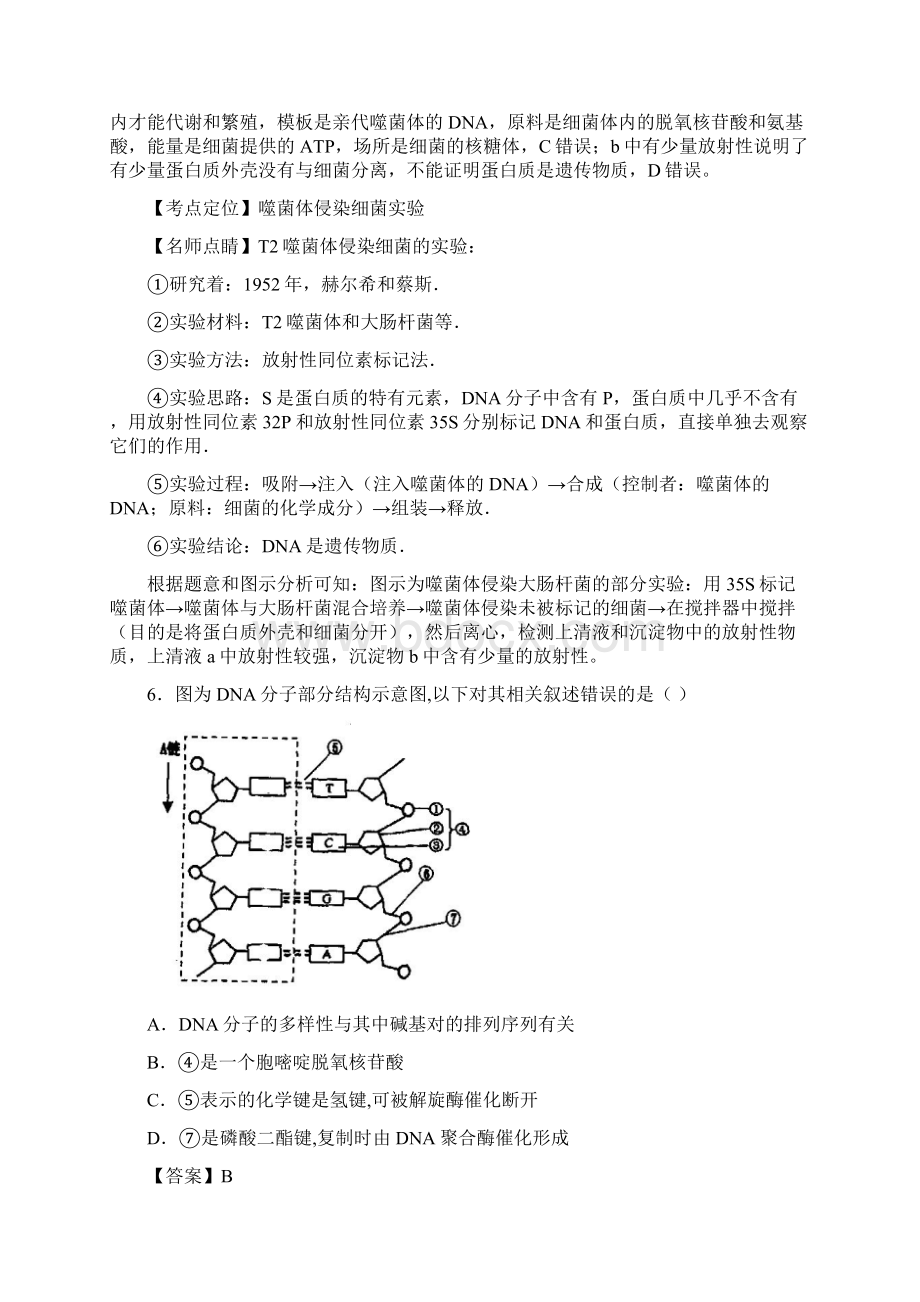 苏教版 遗传的分子基础 单元测试 3文档格式.docx_第3页