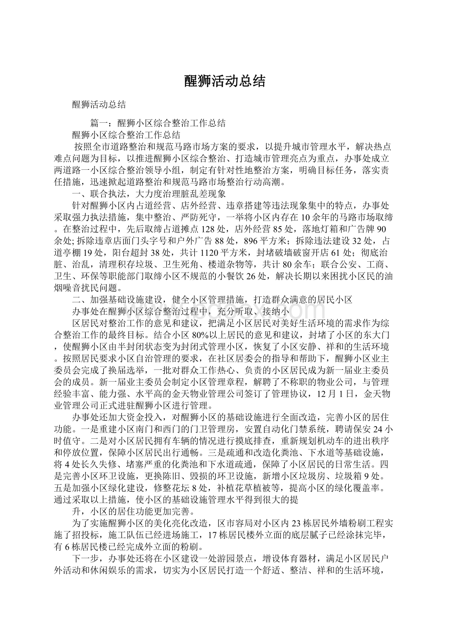 醒狮活动总结Word文件下载.docx