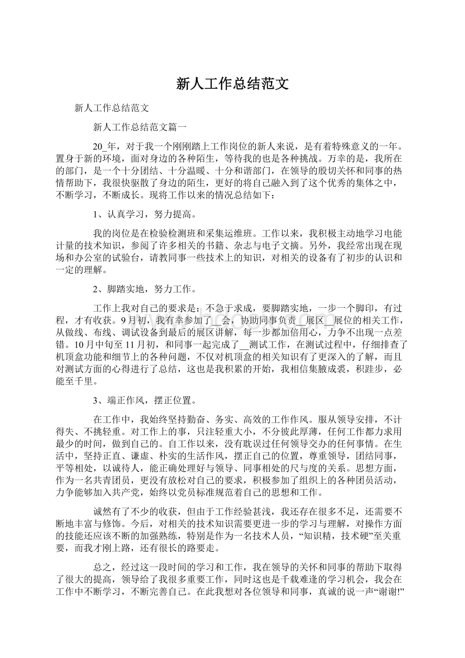 新人工作总结范文.docx