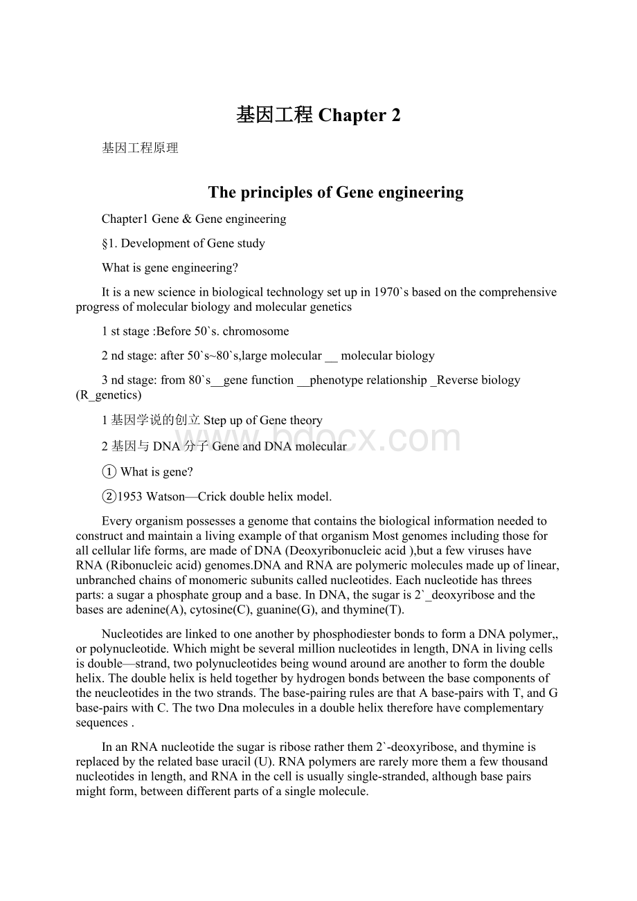 基因工程Chapter 2.docx_第1页