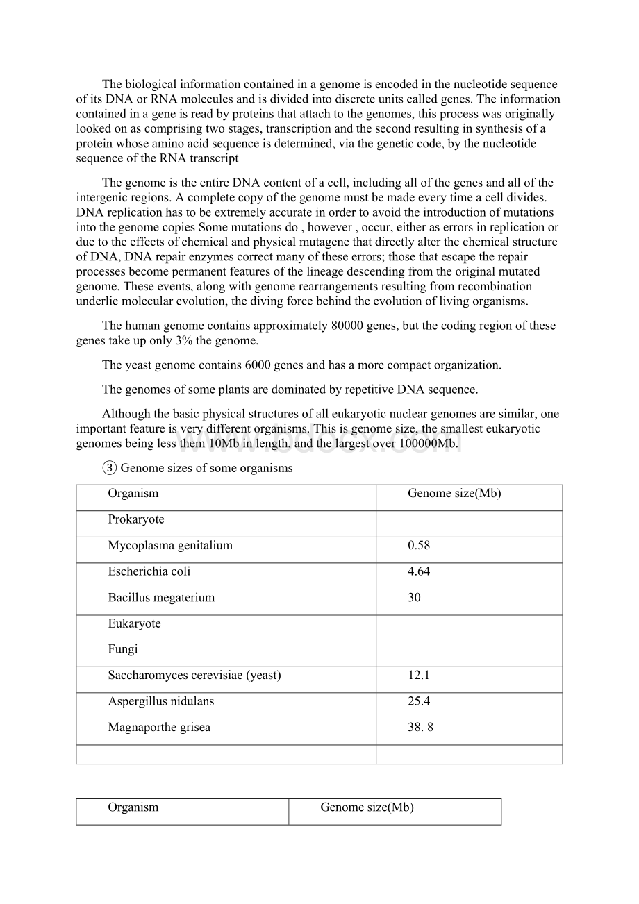 基因工程Chapter 2.docx_第2页