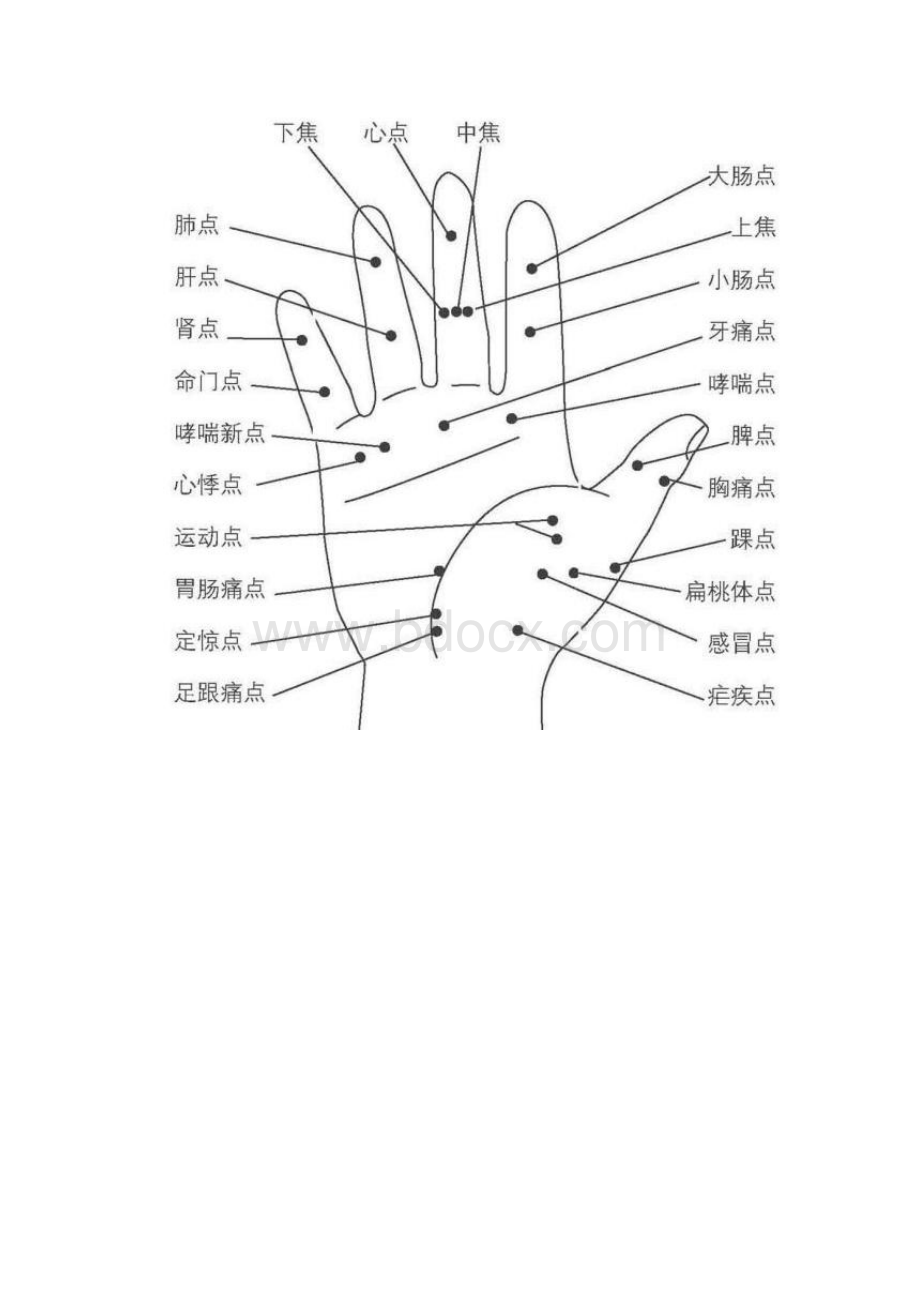 手诊面诊人体全息图坠足法治足寒症用脑过度 1222 2209阅读0转载自丝云.docx_第3页