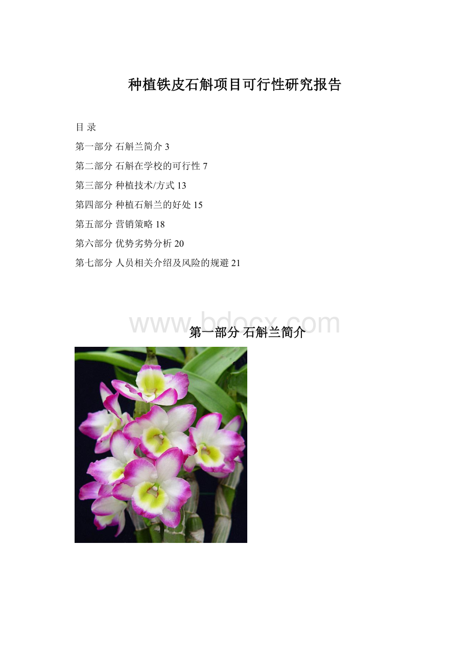 种植铁皮石斛项目可行性研究报告.docx_第1页